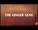 Rusty Yak Gingery Ale ‘ the Unexpected Ginger’  
