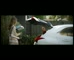 Lexus UX Hybrid Electric– Experience Amazing 
