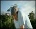 Energy Aust. ‘Golf’